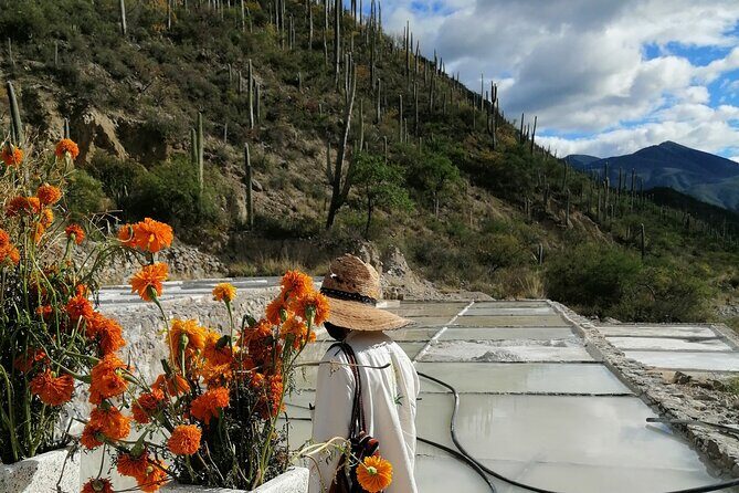 Private Tour to the Tehuacán Biosphere Reserve - Exploring the Tehuacán-Cuicatlán Biosphere Reserve