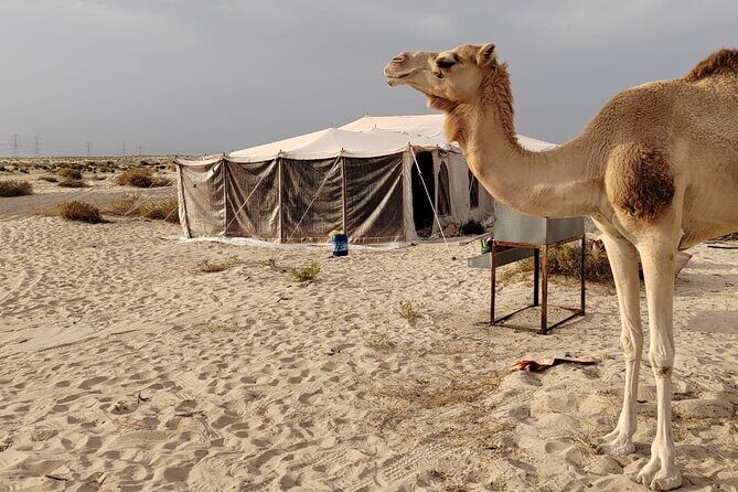 Private Tour to the Yellow Lake and Sand Dunes - Frequently Asked Questions