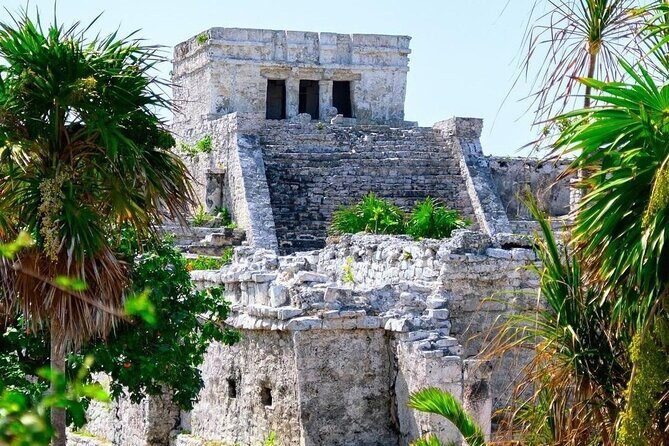 Private Tour to Tulum, Cenote and Swimming with Turtles - How the Experience Scores from Real Travelers