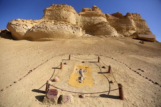 Private Tour to Whales Valley & Wadi El Rayan Waterfalls in El Fayoum from Cairo - A Closer Look at the Itinerary and What You’ll Experience