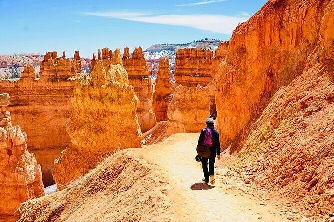 Private Tour to Zion National Park from Las Vegas - How the Tour Works