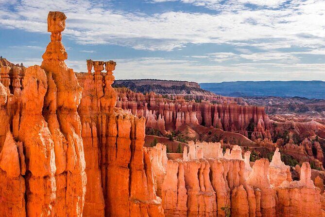 Private Tour to Zion National Park from Las Vegas - Who Will Love This Tour?
