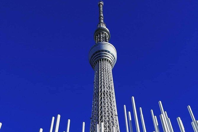 Private tour Tokyo - The Harmony of Modernity and Tradition - The Itinerary in Detail