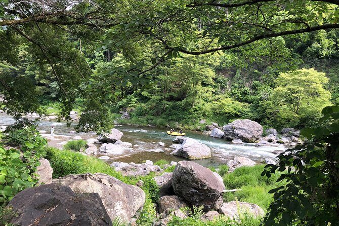 Private tour: Tokyo's Oldest Sake Brewery and riverside walk. - Exploring Kanzanji Temple and Final Moments