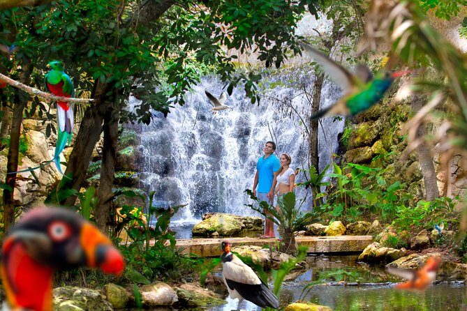 Private Tour Tulum and Night Show in the Park Xcaret - An In-Depth Look at the Tour Experience