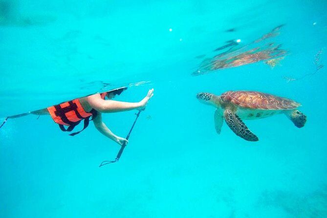 Private Tour Tulum, Reef & Cenote-Cavern from Playa del Carmen - Key Points