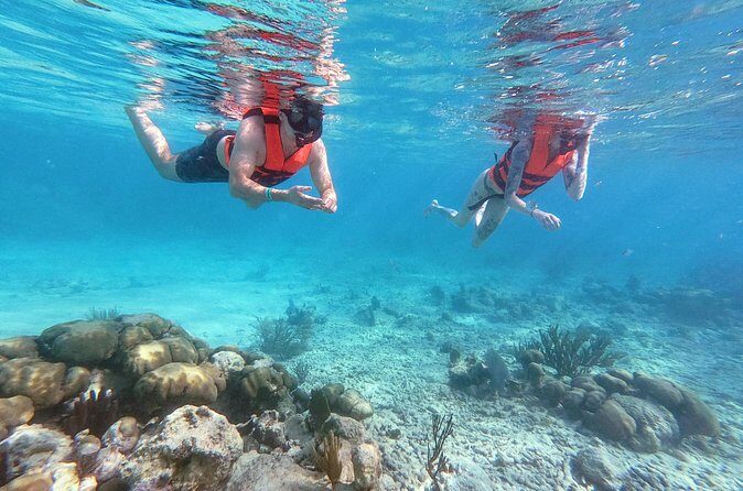 Private Tour Tulum Ruins and Snorkeling in National Park - The Experience in Detail: Breaking Down the Day