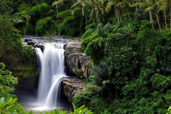 Private Tour - Ubud Kintamani Tours - The Itinerary in Detail