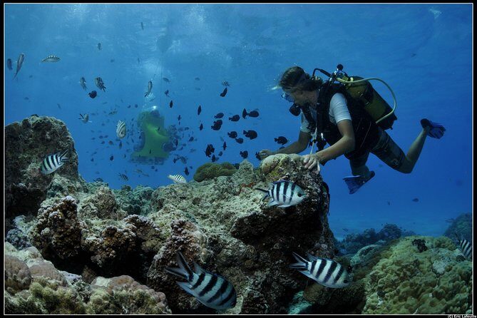 Private Tour: Underwater Scooter Bora Bora - An In-Depth Look at the Underwater Scooter Experience in Bora Bora