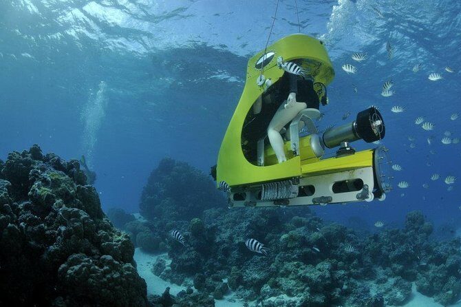 Private Tour: Underwater Scooter Bora Bora - Who Should Consider This Tour?