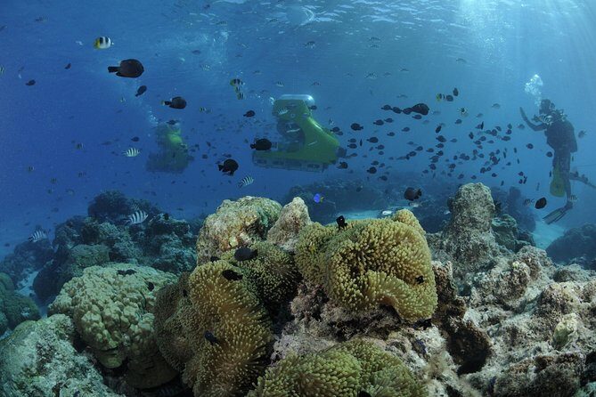 Private Tour: Underwater Scooter Bora Bora - FAQs