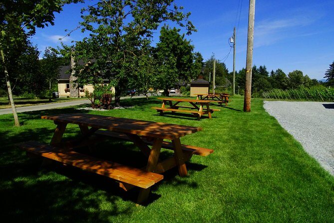 Private Tour: Vancouver Half Day Wine Tasting Tour - Summary