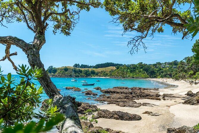 Private Tour - Waiheke Island Luxury Experience - The Sum Up