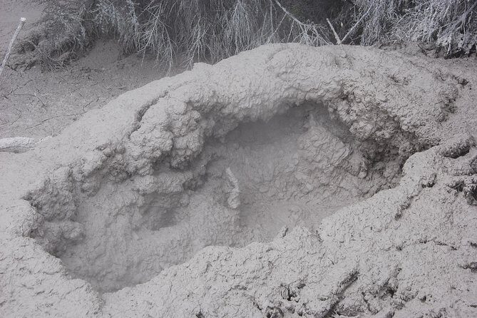 Private Tour Waiotapu Geothermal Shore Excursion up to 8 passengers - Final Thoughts: Who Is This Tour Perfect For?