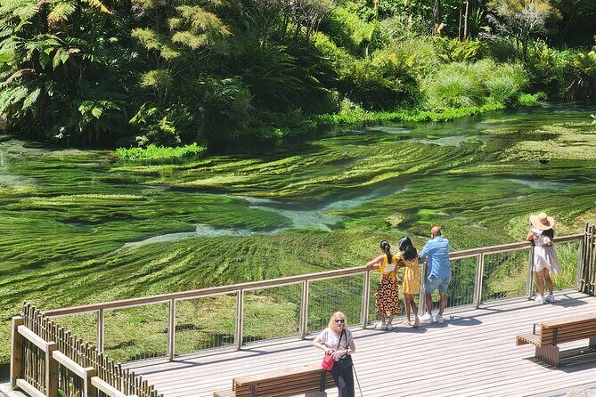 Private Tour WaiOtapu & Huka Falls & Blue springs from Auckland - An Authentic Day Out in North Island’s Natural Beauty