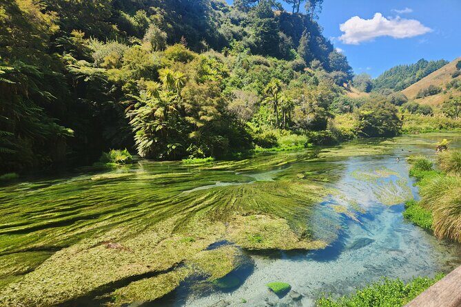 Private Tour WaiOtapu & Huka Falls & Blue springs from Auckland - Huka Falls: Witnessing Nature’s Hydraulic Marvel