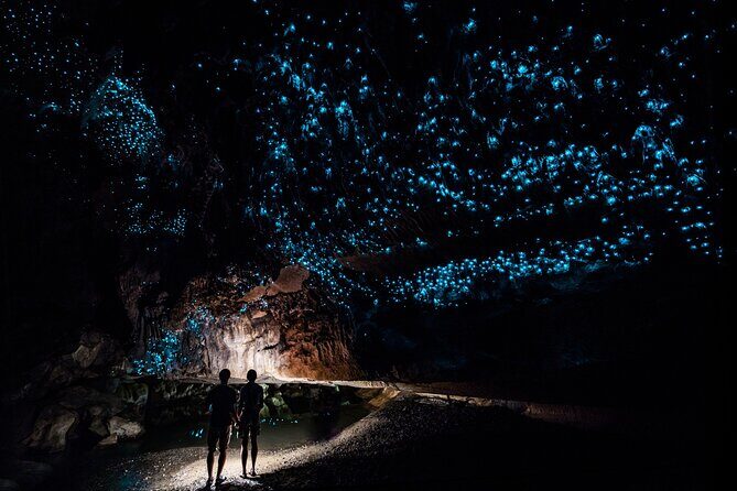 Private Tour Waitomo Caves from Auckland - Key Points