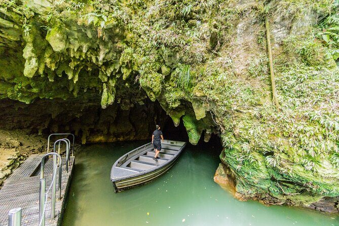 Private Tour Waitomo Caves from Auckland - An In-Depth Look at the Private Waitomo Caves Tour