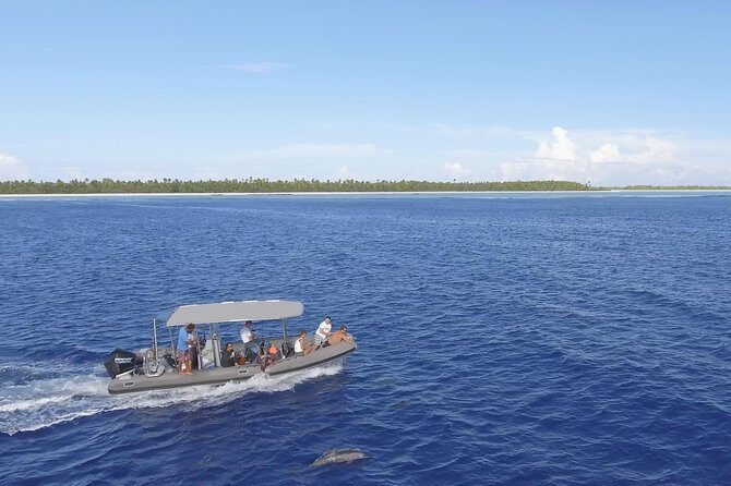 Private Tour Whale Watching BORA-BORA - FAQ