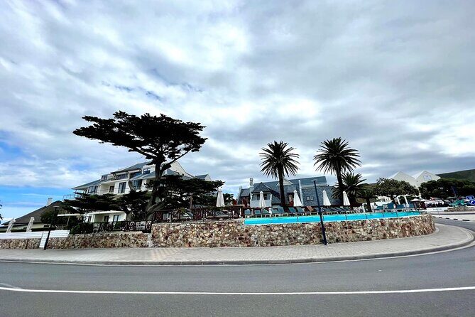 Private Tour: Whale Watching Shared Boat Trip from Cape Town - Final Thoughts