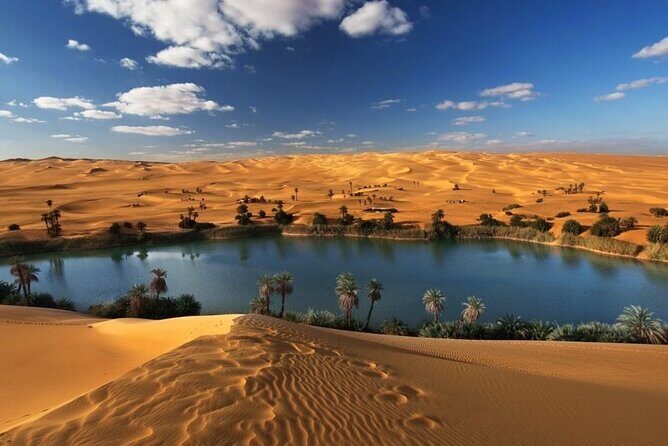 Private Tour Whales Valley And Wadi El Rayan Waterfalls In El Fayoum From Cairo - Starting from Cairo: Comfort and Convenience