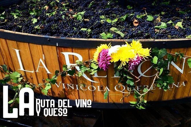 Private Tour: Wine and Cheese Route from CDMX (All included) - A Taste of Querétaro: Private Wine and Cheese Tour from Mexico City