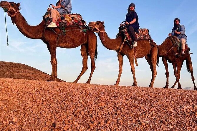 PRIVATE Tour with Dinner & Sunset with Camel To Desert Agafay - Frequently Asked Questions