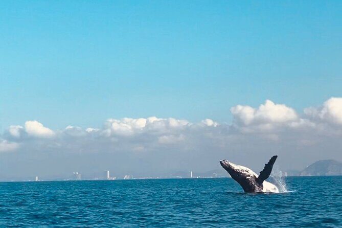 Private tour with sea lions and snorkeling - Frequently Asked Questions