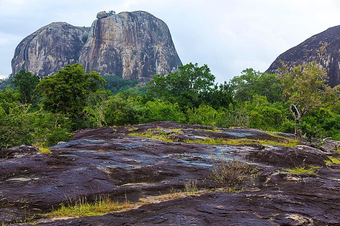 Private Tour : YALA National Park with Experienced Driver/Guide - What the Reviews Tell Us