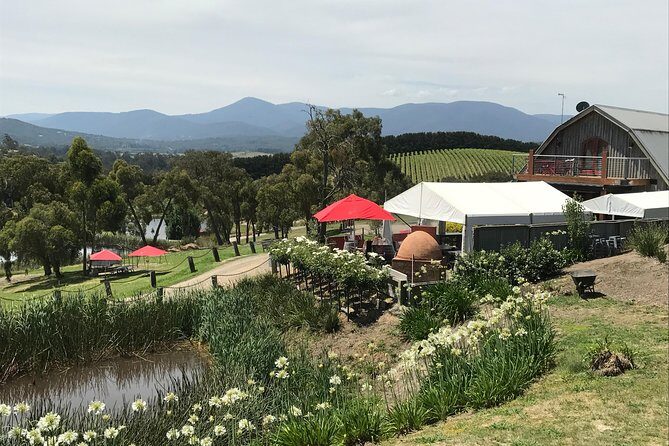 [PRIVATE TOUR] Yarra Valley Winery | Day Tour - Introduction