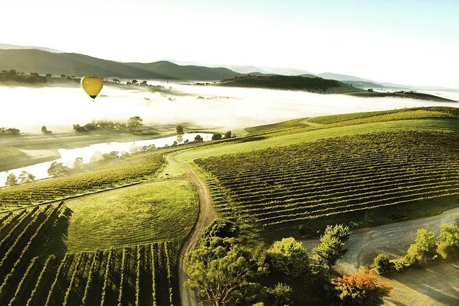 [PRIVATE TOUR] Yarra Valley Winery | Day Tour - FAQs