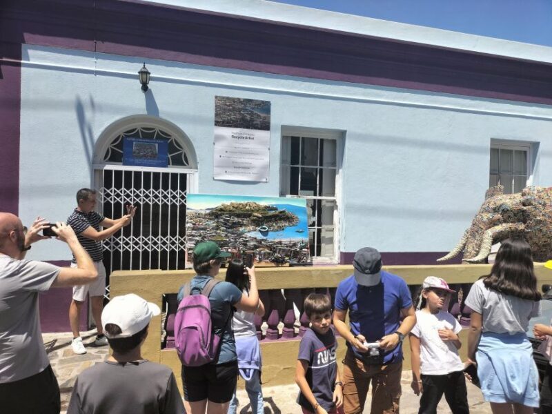 Private Tour:Cape Peninsula &Penguin Beach, Cape Point &more - A Deep Dive into the Experience