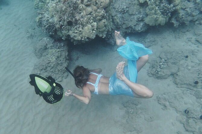 Private Tours Beach Entry - Sea Scooters Guided with videos - The Educational and Conservation Focus
