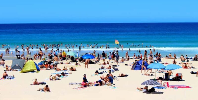 Private Tours: Full-Day Sydney City And Sightseeing Tour - Who Will Love This Tour?