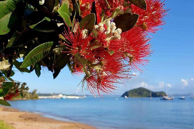 Private Tours in Bay of Islands - Starting Point: Bay of Islands
