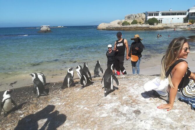 Private Tour:,Table Mountain ,Cape of Good hope & Penguins colony - An In-Depth Look at the Cape Town Highlights