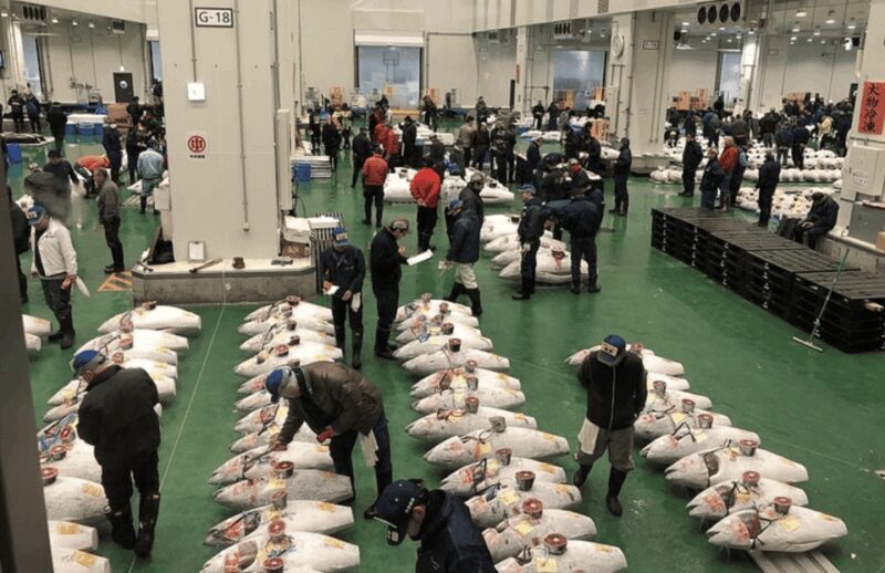 Private Toyosu & Tsukiji Market Adventure with Tuna Auction - Starting Point and Transportation: Navigating Early Mornings in Tokyo