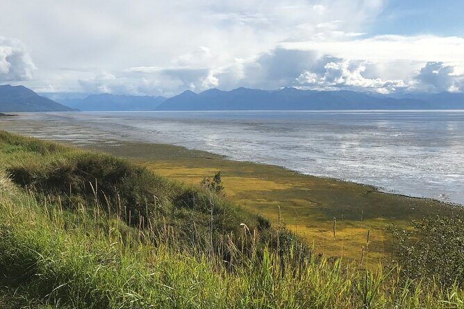 Private Transfer, Anchorage to Seward Cruise Ship Terminal - The Sum Up