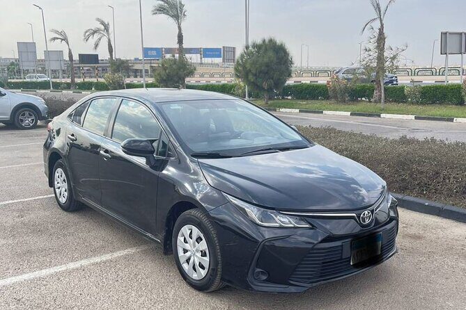 Private Transfer Around Cairo - Practical Details and Considerations