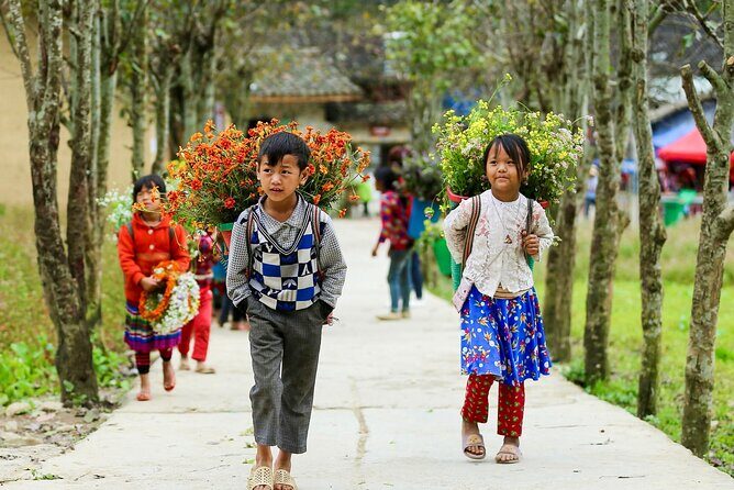 Private Transfer Between HANOI - SAPA (Danny Phan Travel) - Vehicles and Comfort