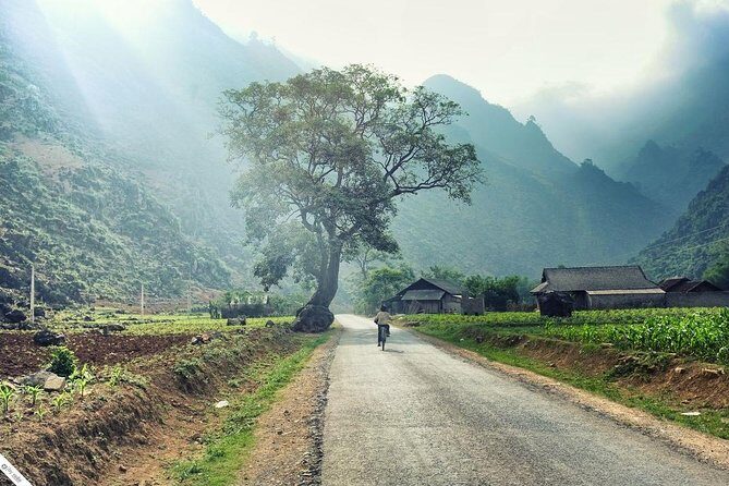 Private Transfer Between Lao Cai Train Station and Sapa Town - Key Points