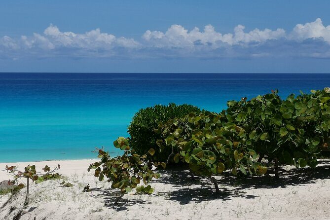 Private Transfer-Cancun Airport-Playa del Carmen One Way - An In-Depth Look at the Transfer Experience
