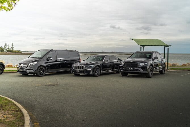 Private Transfer: Cruise Port to Brisbane Airport BNE or Brisbane City - Who Is This Service Best For?