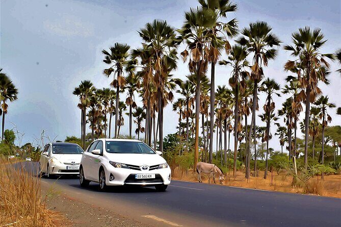 Private Transfer DSS AIBD Airport - Riu Baobab Hotel (two ways) - Cost and Value Analysis