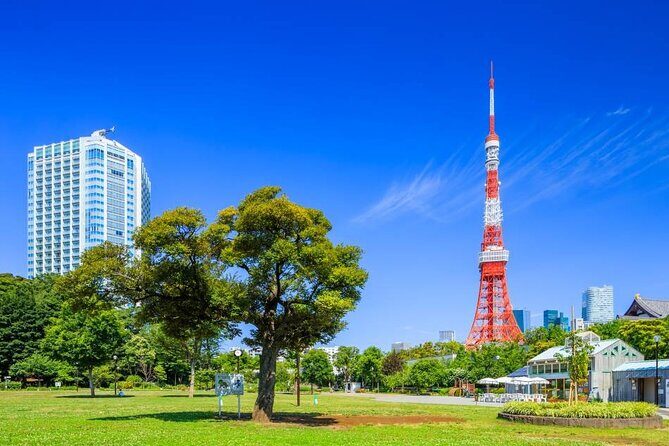 Private Transfer for Custom Day Tour in Tokyo - Introduction