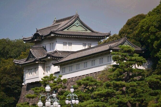 Private Transfer for Custom Day Tour in Tokyo - Key Points