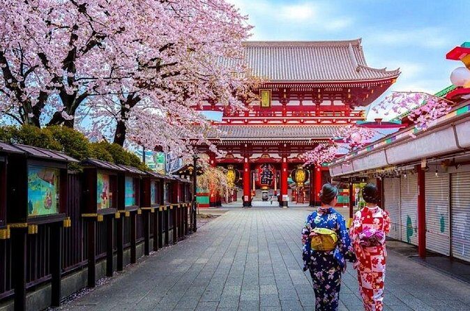 Private Transfer for Custom Day Tour in Tokyo - Who Should Consider This Tour?