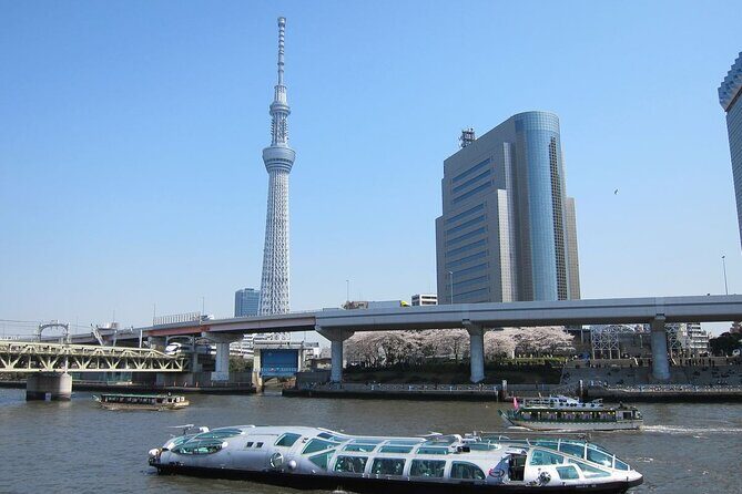 Private Transfer for Custom Day Tour in Tokyo - The Sum Up