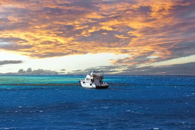 Private Transfer From Aswan to Marsa Alam or Vice Versa - Authenticity and Genuine Experiences