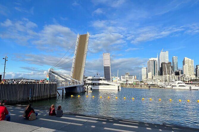 Private Transfer From Auckland Airport Oaks To Auckland City - The ins and outs of the transfer experience